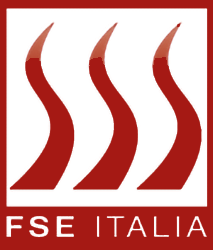 fse italia fire security engineering